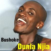 Bushoke