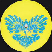 Wrath Of Zeus / Wet Indiez (Play Paul Remix)