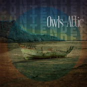 Owls In The Attic: CONTENDER