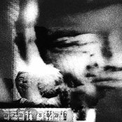 The Golden Age of Hate