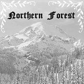 In der Unermeßlichkeit des Schnees