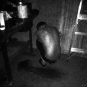 the heroin diary