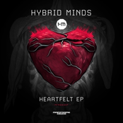 Why by Hybrid Minds