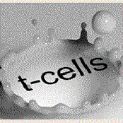 t cells