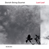 Danish String Quartet: Last Leaf