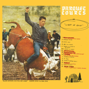 Parquet Courts: Light Up Gold