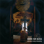 Tony by Born For Bliss