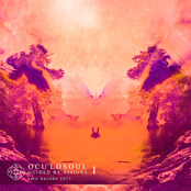 Guided By Visions : Part 1