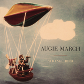 The Night Is A Blackbird by Augie March