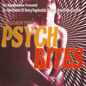 Psych Bites: Volume 2