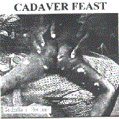 Make Some Racket / Godzilla's Rectum