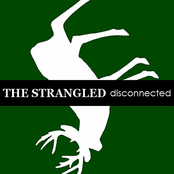 Disconnected by The Strangled