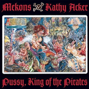 My Song At Night by The Mekons And Kathy Acker