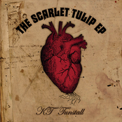 Patience by Kt Tunstall