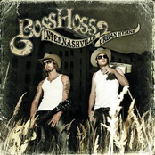 Toxic by The Bosshoss