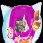 anti-hairball