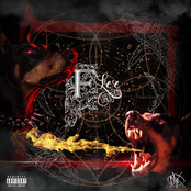 Flee Tape