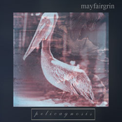 pelicagnosis [Webbed Hand wh037]