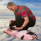 Dieren Zijn Kankerlief