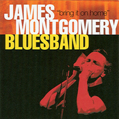 Mona by James Montgomery Blues Band