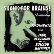Skank For Brains