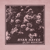 In the Meantime - Single