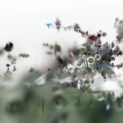 clipo