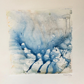 Flawed Mangoes: Swimming