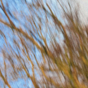 come here, i love you