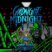 Love. Lies. Recovery.