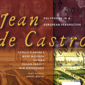 Polyphony in a European Perspective