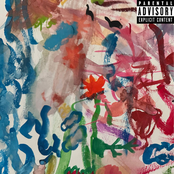 NEVER REALLY GOT TO KNOW ME