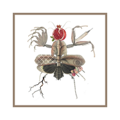 5-way worldwide split