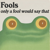 Only A Fool Would Say That