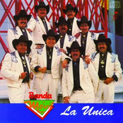 Banda Movil: La Única