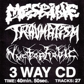 Mesrine / Traumatism / Nyctophobic