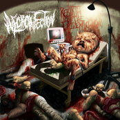 Rebirth of the epidemic