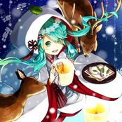 SNOW GLITTER