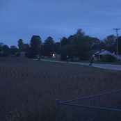 will the media depict us as lovers? (from the film Divine Hammer)