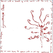 Vanish with a breath of wind, vanish with the mist, leave your imprint in the sand, cut through the seaweed, disappear. Go put on your wreath of aromatic herbs and we shall fly like butterflies.