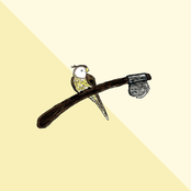 Willy Fog - Maîtresse - Split