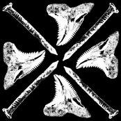 Tooth and Nail Demo 2019