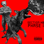 Section H8: Phase 1