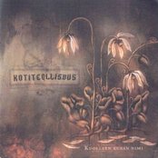 Rakastaa/ ei rakasta