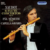 6 Flute Concertos