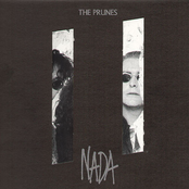 In The Night by The Prunes