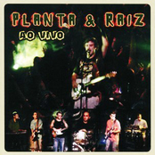 Planta & Raiz Ao Vivo