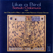 Like a Bird