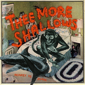 Dutch Slaver by Thee More Shallows