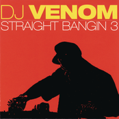 Straight Bangin' 3 (Continuous DJ Mix By DJ Venom)